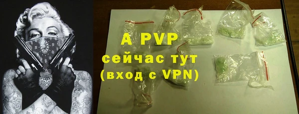 дмт Белокуриха