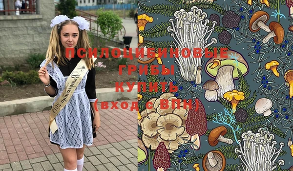 дмт Белокуриха