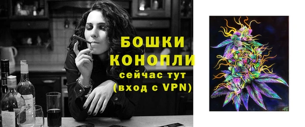 дмт Белокуриха
