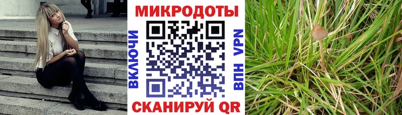 Псилоцибиновые грибы GOLDEN TEACHER  Саяногорск 